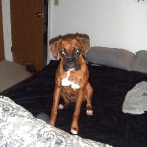 Kaybie sitting pretty