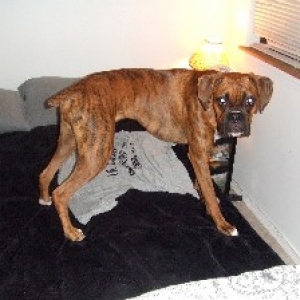 Kaybie 9.5 months old