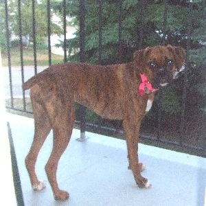 Pretty girl