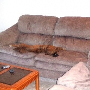 Lounging on the couch
