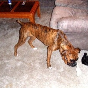 Kaybie playing with her rope