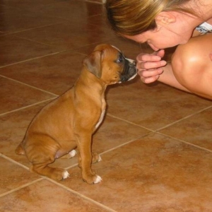 Bailey at 8 weeks