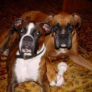 The boys