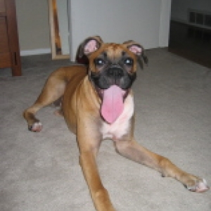Bella Smiling