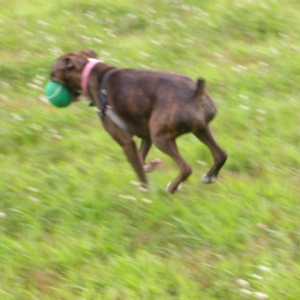 All 4 in air
