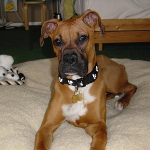 giselle_s_first_day_home