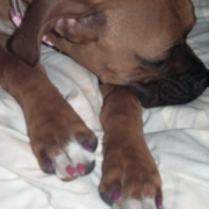 giselle_s_nails