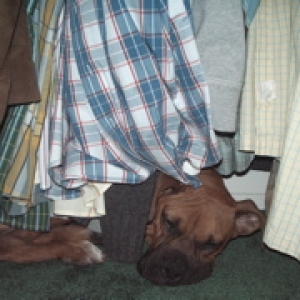 giselle_in_closet