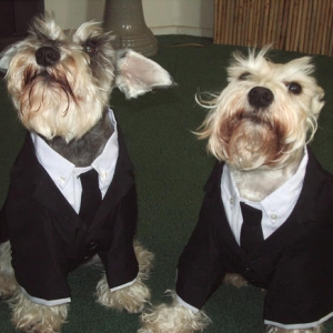 ansel_and_snowball_in_tux