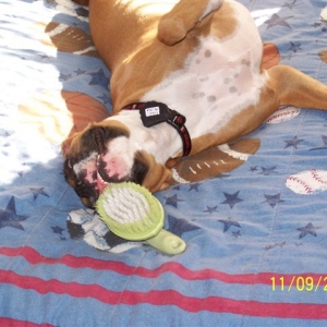 Payton being naughty :)