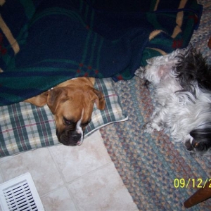 Mitzi and I enjoying an afternoon siesta :)