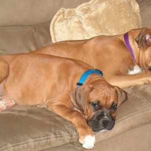 Shhh....we're sleeping!