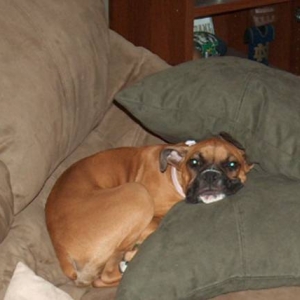 Daisy's Fort
