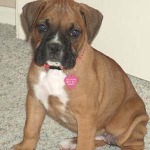 Daisy @ 8wks old