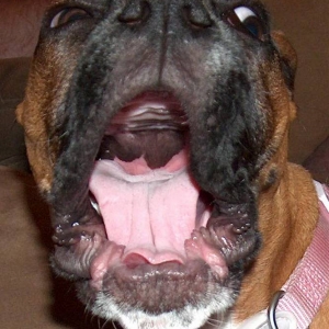 I'm gonna eat you!