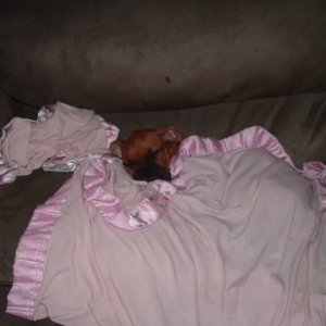 Laila tucked in