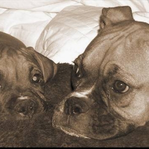Our sweet babies