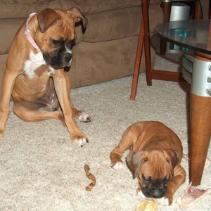 Who are you and what are you doing with MY bone?