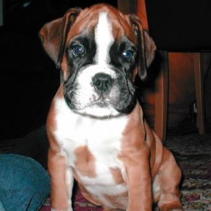 My Millie