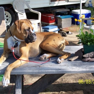 Camping '06