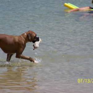 Loving the water!