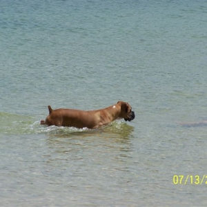 At the beach