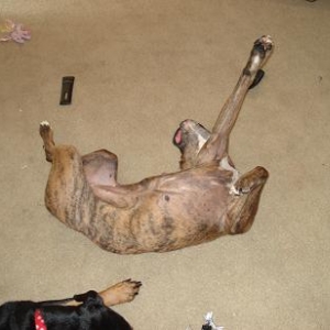 macy sleepin