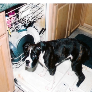 BUSTED!!