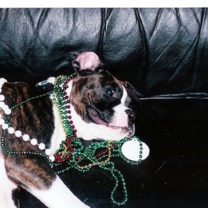 Mardi Gra?