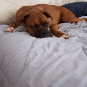 all tired out