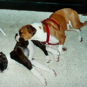 Sleeping