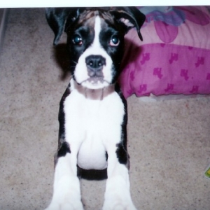Whats that you got there mom?