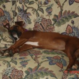 Another new napping place