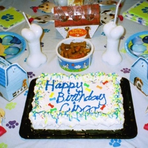 Cisco's Birthday Cake