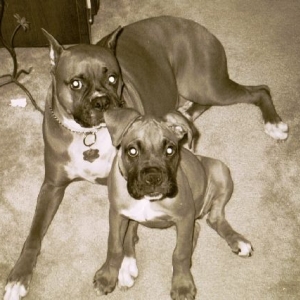 Cisco and Leila