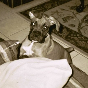 My Leila