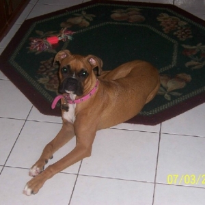 My Beauty