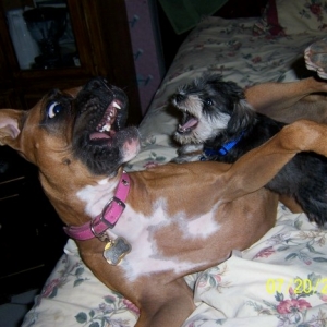Sophie and Kobie