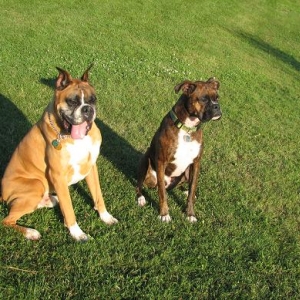 good boys