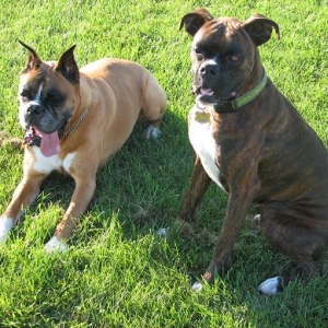 the boys
