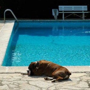 Guarding