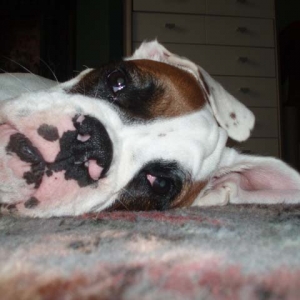 Luka_6_Months_Old