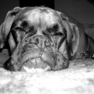 Ruby_10_Months_Old