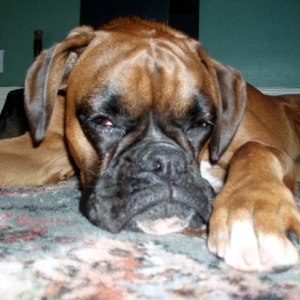 Ruby_10_Months_Old_a