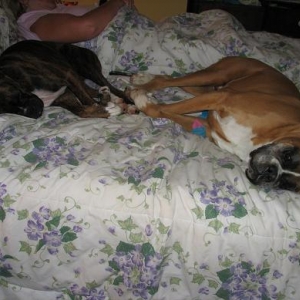 taking over the bed