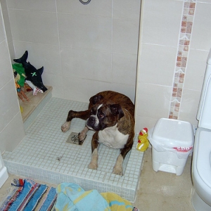 She would not get out