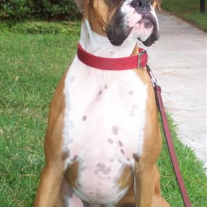 My Girl Samantha - 13 Month's Old