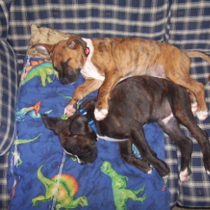 Nap time
