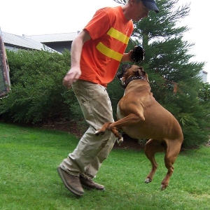 Getting some play time in