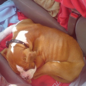 Moses - So Cute!